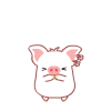 cutepig70